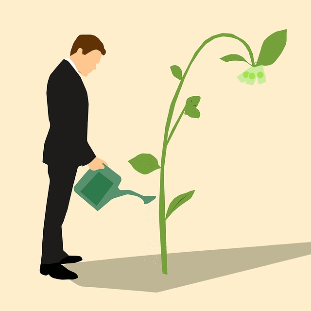 Grow Your Business